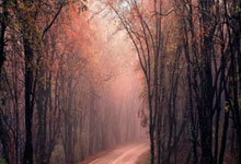 新一轮国际足球锦标赛即将开始：热情、科技与传奇的交响