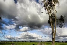 队内背景故事曝光，球员斗志昂扬