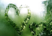 本周篮球风云榜出炉，强队劲旅决胜争雄