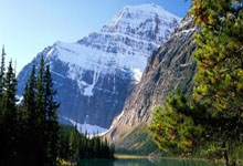 亚洲杯篮球赛冠军诞生，激烈角逐引人注目