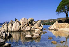 中国游泳选手取得男子米蝶泳第二名：银牌背后的力量