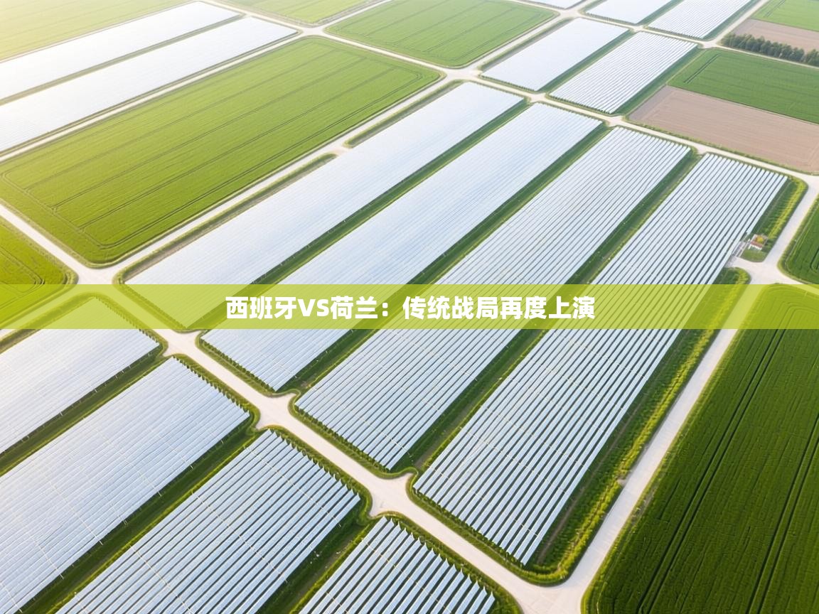 西班牙VS荷兰:传统战局再度上演 第2张